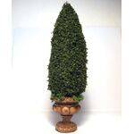 TOPIARY-6' ROUND.BASE TOP-12H