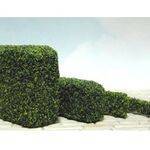 HEDGE-COATED 1X5/8X12''Long 1PC