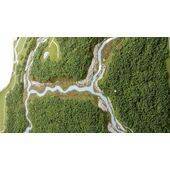 Forest planting Large areas