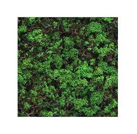 FOLIAGE FOREST GREEN 30G