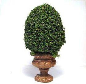 TOPIARY-4.5' ROUND BASE TOP-12G