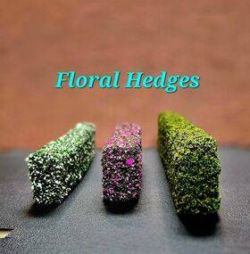 HEDGE-COATED Flowering White 1PC