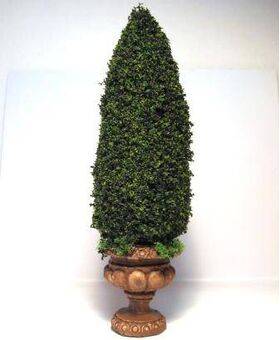 TOPIARY-6' ROUND.BASE TOP-12H