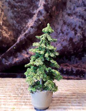 TOPIARY- 3-3/4"tall  1" round pot
