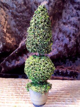 TOPIARY- 5"tall  1" round pot