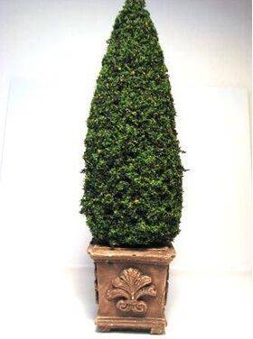 TOPIARY-6' SQUARE BASE TOP-12F