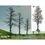 TREE ARMATURE 8" BULK 20PC