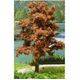 a completed tree with RM mat