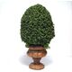 TOPIARY-4.5' ROUND BASE TOP-12G