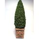 TOPIARY-6' SQUARE BASE TOP-12F