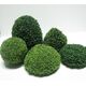 SQUEEZE ME TREE ASSORTMENT 1.5-2.5" COATED 5PC