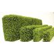 HEDGE-COATED SPRING GREEN 3X1.5X12''Long 1PC