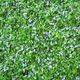 GARDEN GROWIES - Blue
