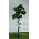 TREE-PREMADE FOREST 8'' GREEN 2PC