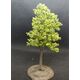 TREE-PREMADE 5.5'' LINDEN GREEN 2PC